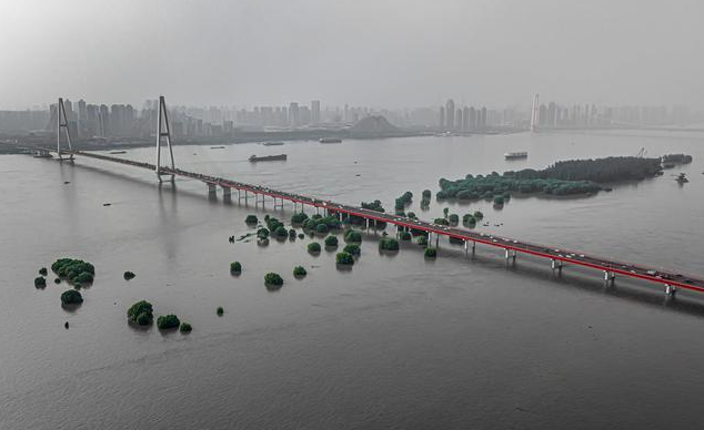 暴雨過后，蚊蟲鼠害帶來的問題影響